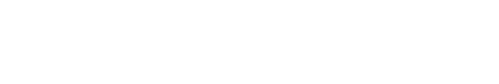 Seintec Telecom